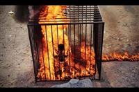 زنده سوزاندن دختر 2 ساله به دست داعش 