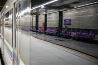 جزئیات درگیری و کشته شدن ضارب در متروی شهر ری