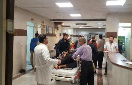 یک کشته بر اثر تب کریمه کنگو در گیلان/ 8 نفر بستری شدند