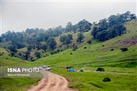 شمارش معکوس تا مرگ جنگل‌های هیرکانی! +عکس