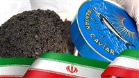 تولید و صادرات بیش از یک تن خاویار ایران 