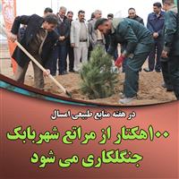 در هفته منابع طبیعی امسال ۱۰۰ هکتار از مراتع شهربابک جنگل‌کاری می شود