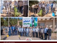 کاشت نهال به یاد شهدای مقاومت در مجتمع سنگ آهن سنگان
